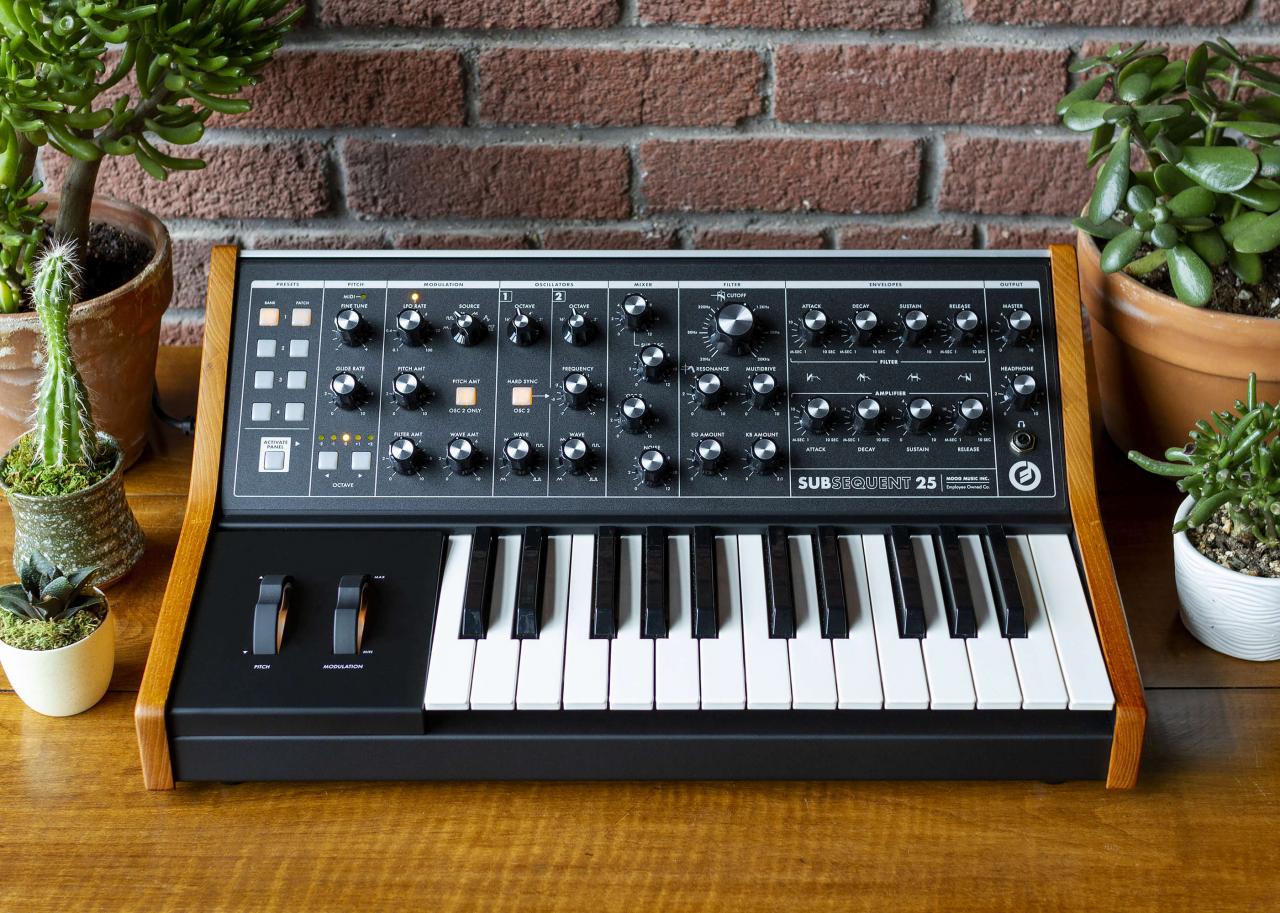 Moog Subsequent 25 